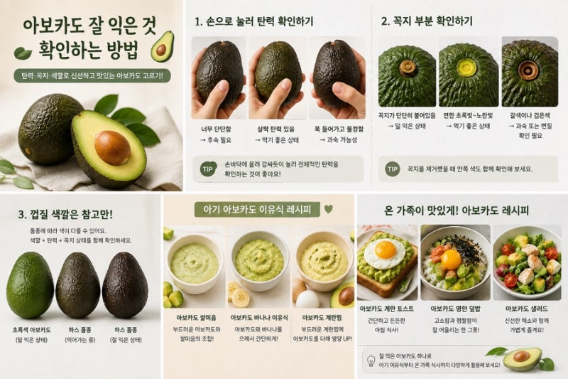 아보카도 잘 익은 것 확인하는 방법｜아기 이유식부터 맛있는 아보카도 레시피까지