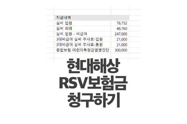 아기 RS바이러스 보험청구 후기 (현대해상 실비, 종합보험, 어린이특정감염병진단담보)
