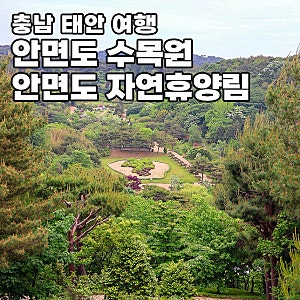 태안 안면도 수목원 자연휴양림 입장료 애견동반 주차장 정보