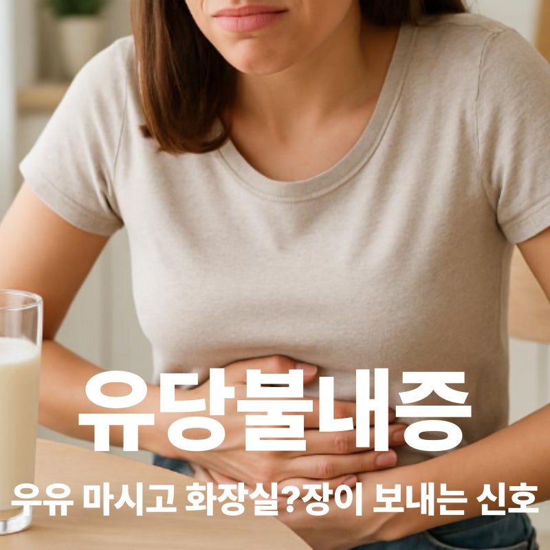 유당불내증 증상과 원인, 우유만 마시면 배 아픈 이유는?