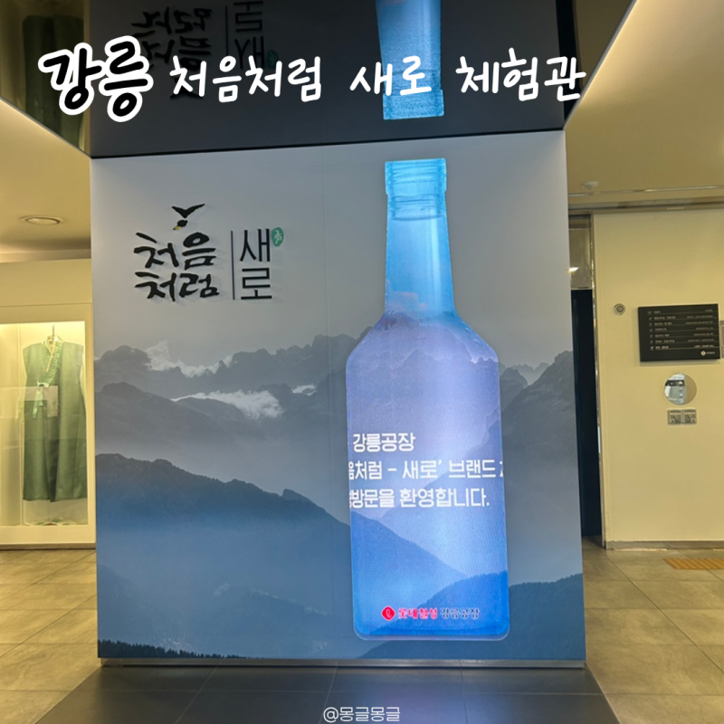 [강릉] 이색체험 처음처럼 새로 브랜드 체험관 후기