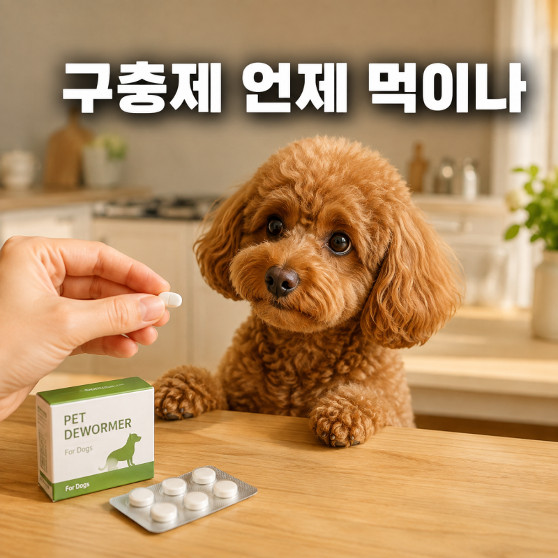 강아지 구충제 종류와 먹이는 시기, 심장사상충약과 차이부터 강아지 배변 확인까지
