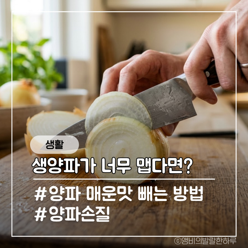 양파 매운맛 빼는방법, 찬물에 몇분 담가야 할까?