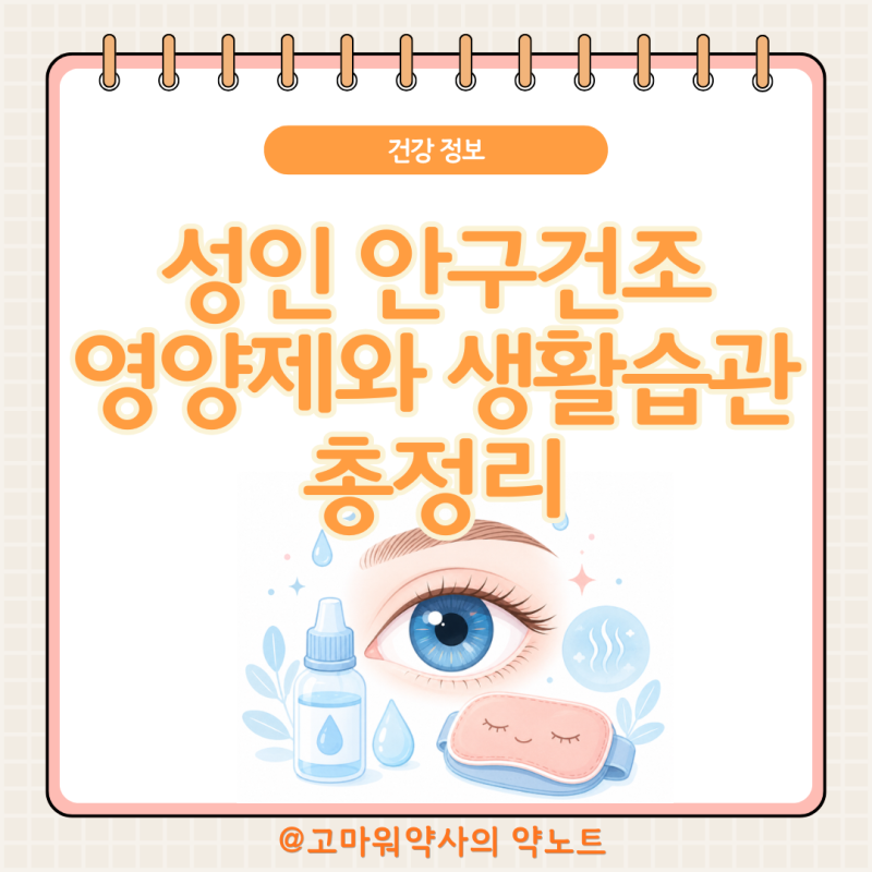 성인 안구건조증, 약사가 정리한 원인·마이봄샘 관리·오메가3 개별인정형까지