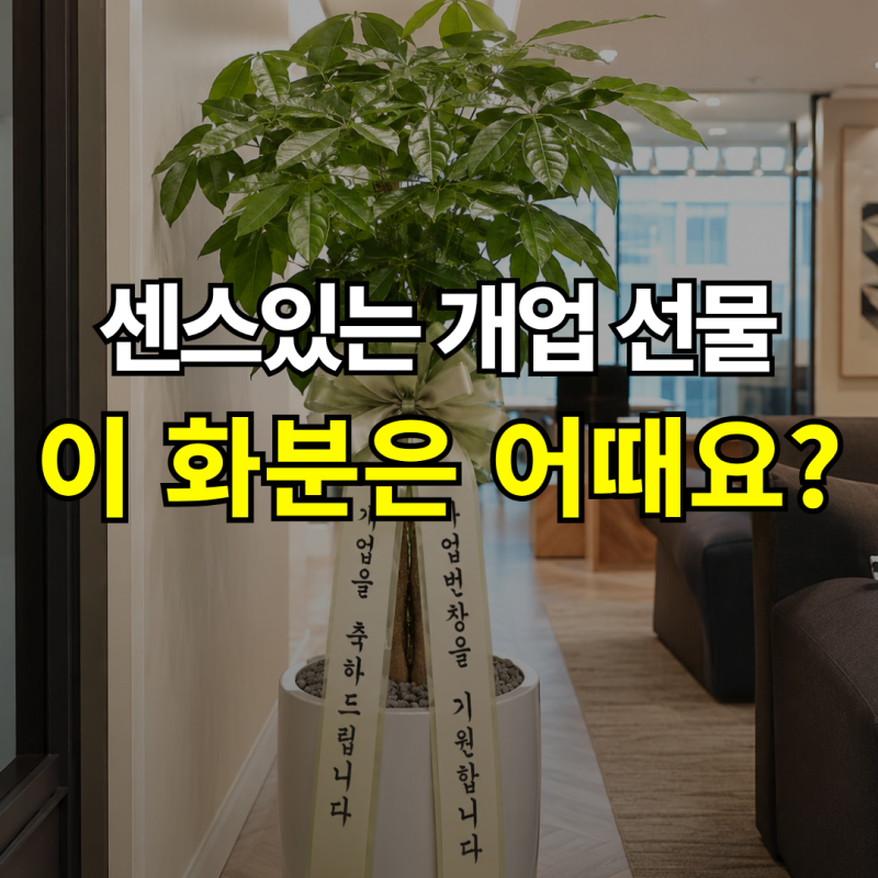 "센스있는 개업 선물" 사무실, 카페 개업화분 종류, 문구 추천