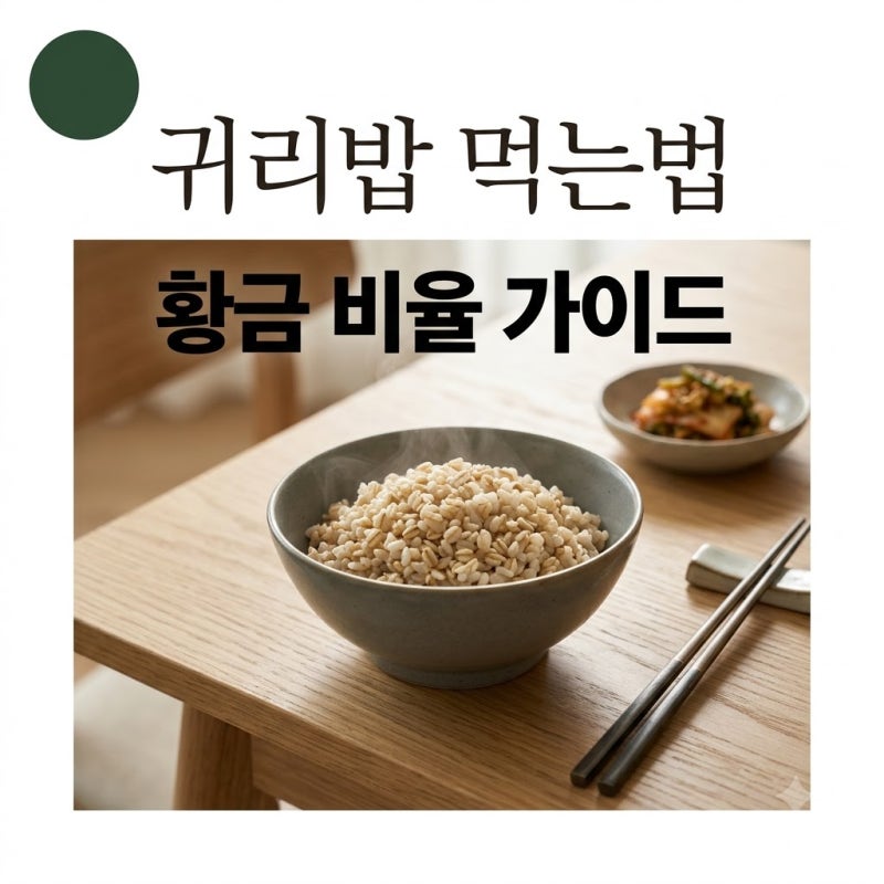 귀리밥 비율부터 효능까지! 건강을 위해 귀리 제대로 먹는 법
