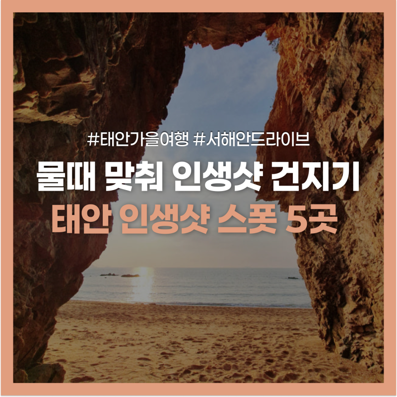 태안 가볼만한곳 5곳 파도리해식동굴 민어도 청산수목원 여행 코스 총정리