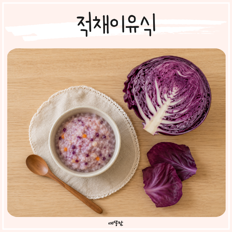 후기이유식 적채 먹는 시기는 언제? 적양배추 효능까지 알아봐요