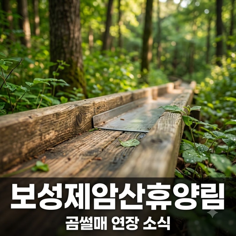 물놀이 끝났다고? 보성제암산휴양림, 9월 30일까지 곰썰매만 연장하는 속사정..