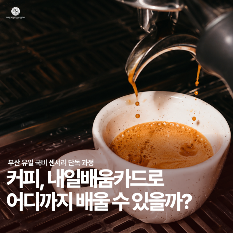 부산내일배움카드 커피 국비 지원 과정, 어디까지 배울 수 있을까?