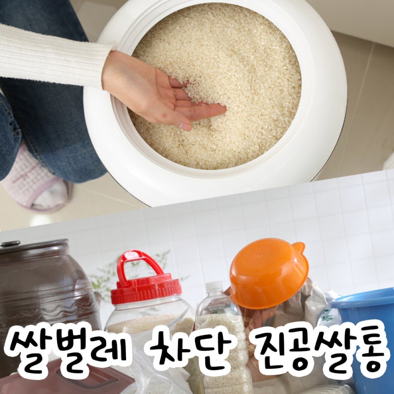 미락 진공쌀통 쌀항아리 쌀보관통 비교, 쌀벌레 생기는 이유와 없애는 법 필독