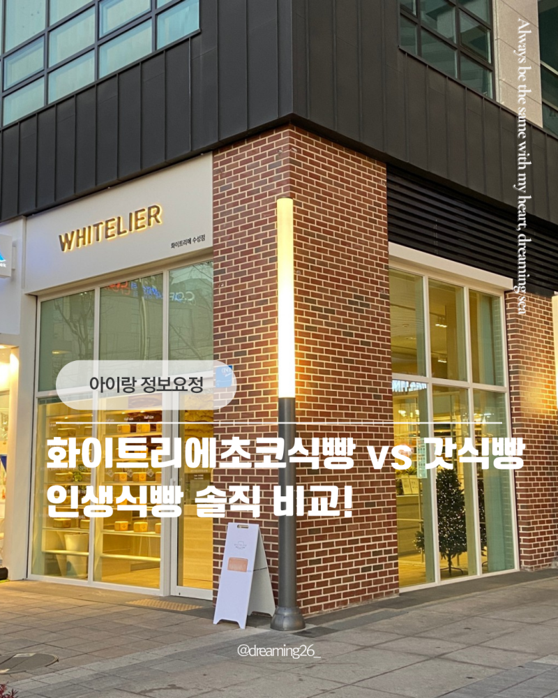 [아이 간식 추천] 화이트리에 초코식빵 vs 갓식빵 먹어본 솔직 비교! (대구 동대구이안점 최애....