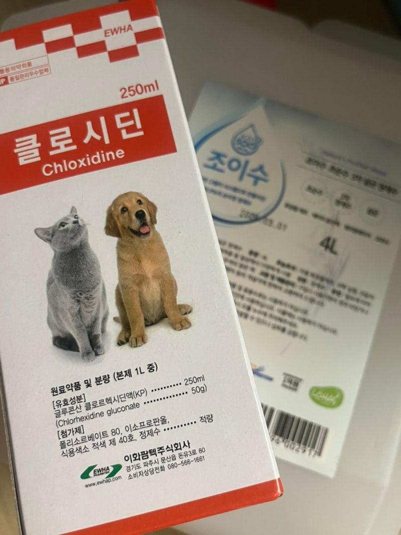 강아지 곰팡이성 피부염 치료 후기 | 원인 및 치료과정(식이요법, 샴푸 및 소독약)