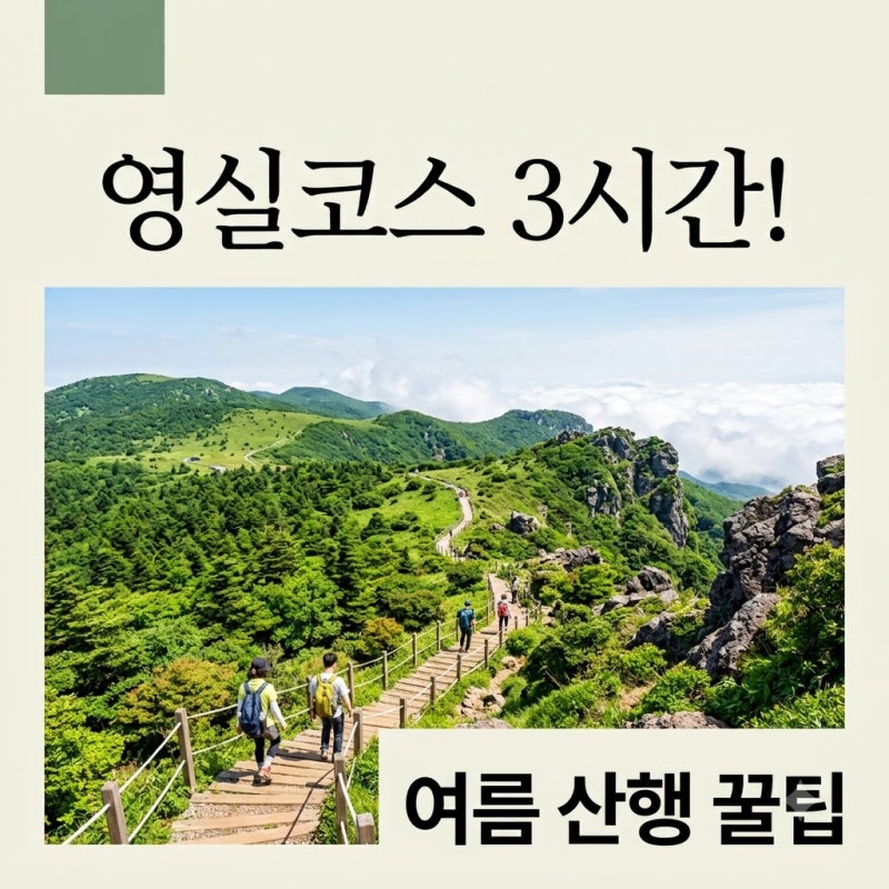 여름 한라산 영실코스 소요시간: 왕복 3시간? 초보도 OK 핵심 가이드!