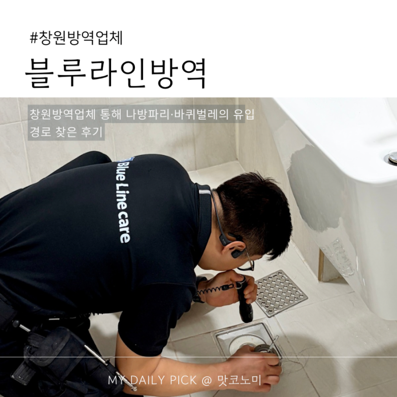 창원 방역 후기 | 나방파리·바퀴벌레 유입 경로까지 잡아준 블루라인방역