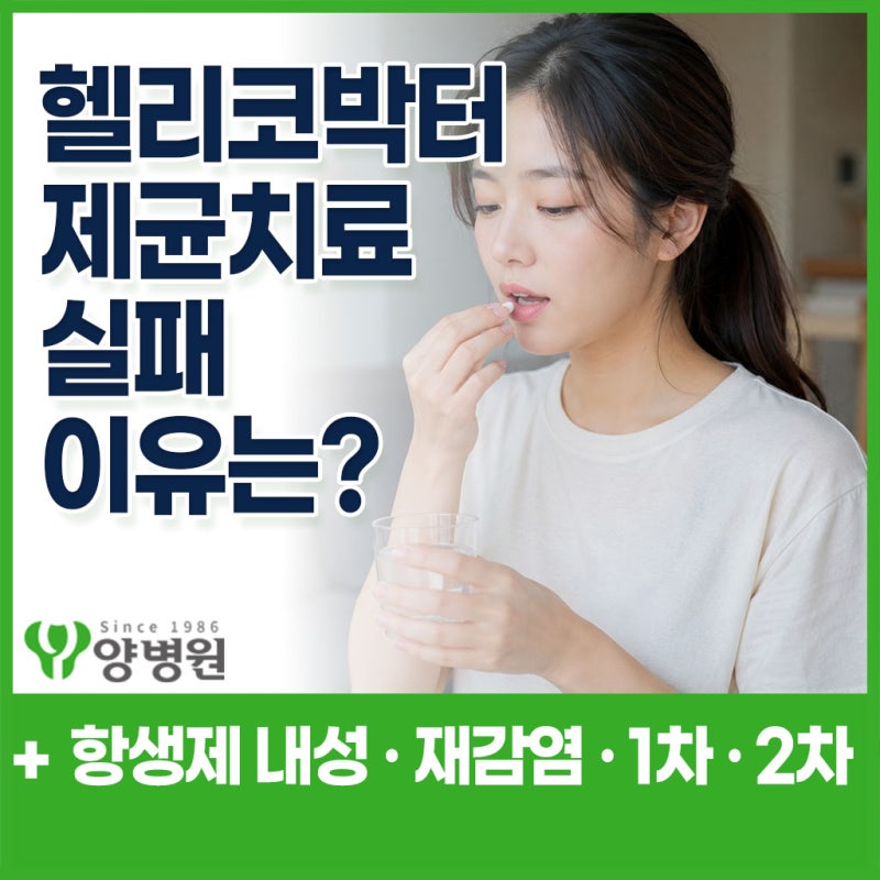 헬리코박터균 제균치료 실패 이유는? 항생제 내성·재감염과 1차·2차치료 부작용 | 강동역 소....