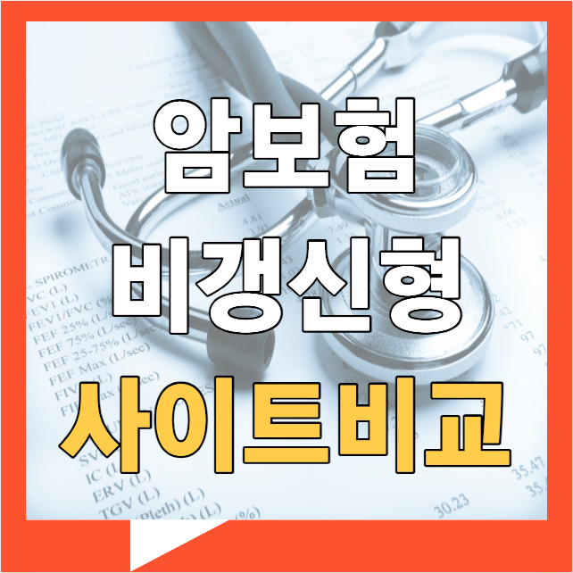 암보험비갱신형 가입시 가격 및 비교사이트 순위 필요성 추천 정리 (40대, 50대, 환급형)