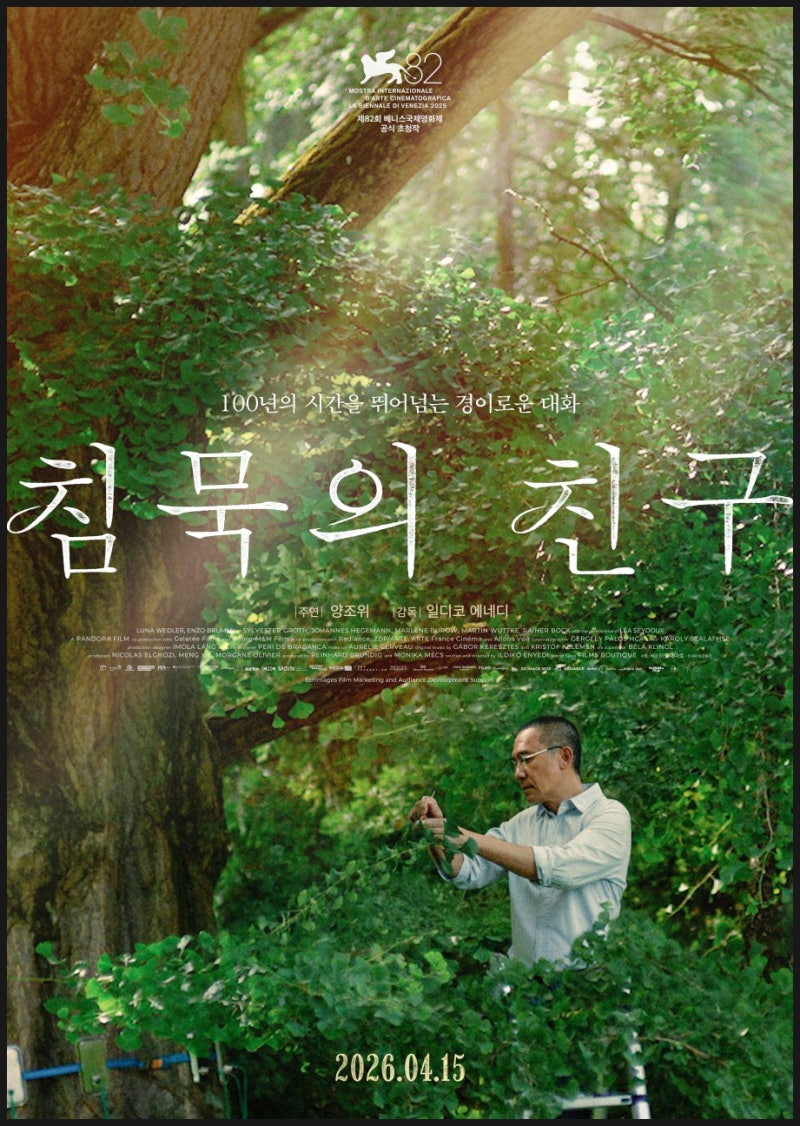 양조위 영화 침묵의 친구, 200년을 지켜본 은행나무의 이야기