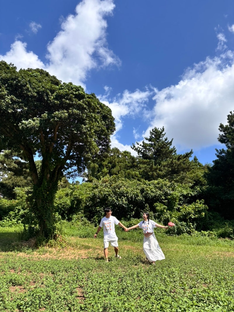 제주도/태교여행/일상/여름휴가/32주차/임산부/여행/맛집/데이트코스/3-5일차/4박5일코스/셀프....