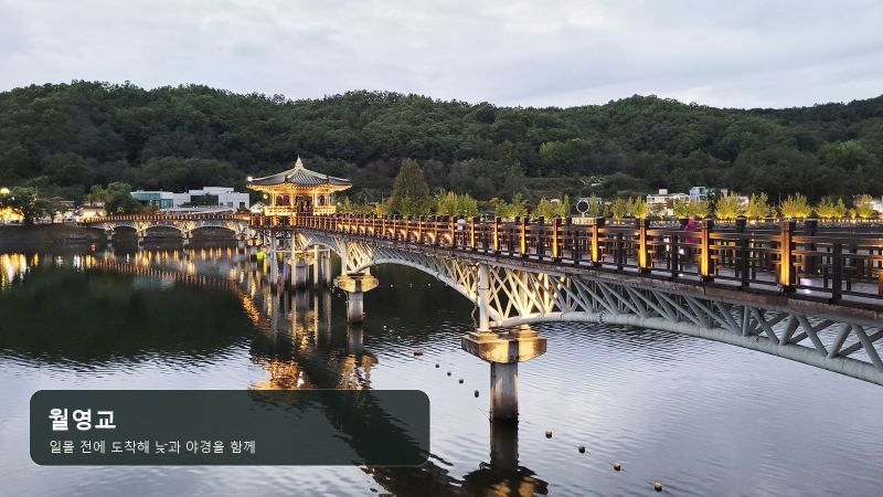 안동 당일치기 여행 코스, 하회마을부터 병산서원·월영교 야경까지