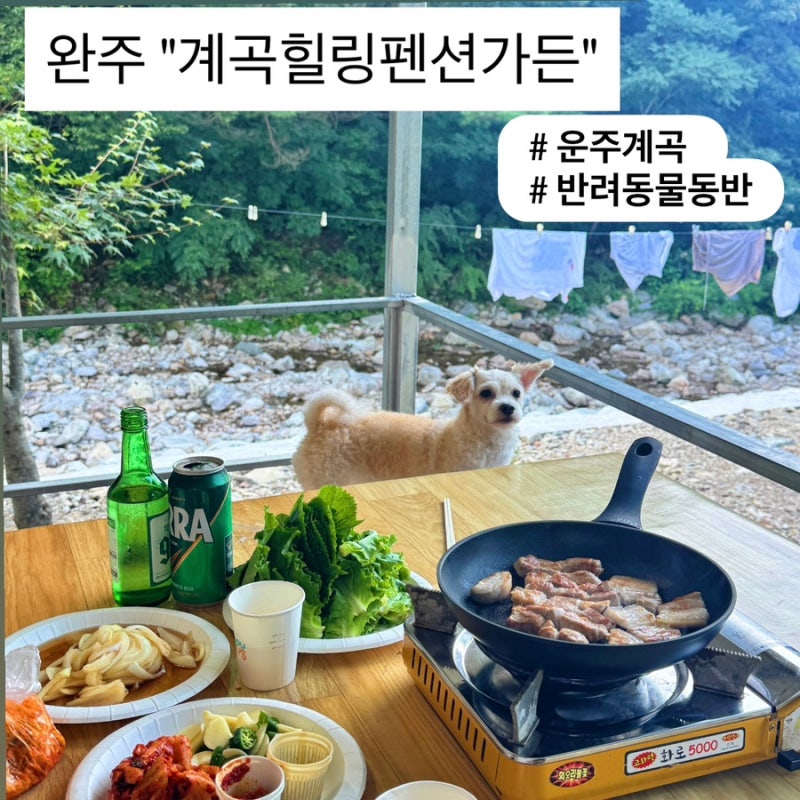 전주근교 완주펜션 대둔산펜션 애견동반 가능 "운주계곡힐링펜션가든"