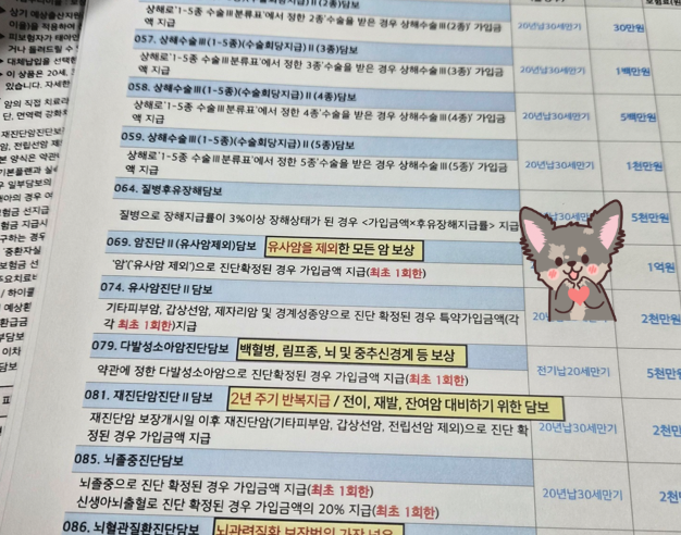 현대해상 태아보험 사은품 순위비교 사이트 필수특약 후기! (+시험관쌍둥이, 굿앤굿어린이)