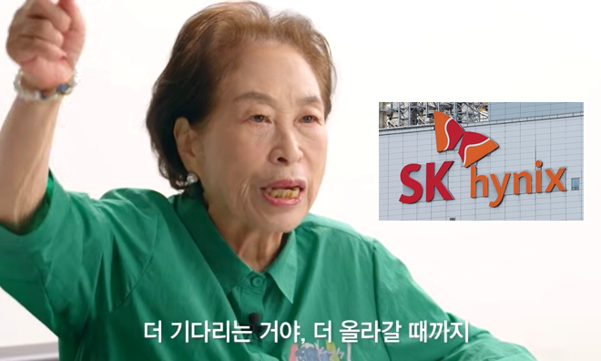 "돈 쓸줄 모르는 전원주 주식도 안 팔아"...2만원에 산 하닉 주식 1주도 안 팔았다 수익률 9000%