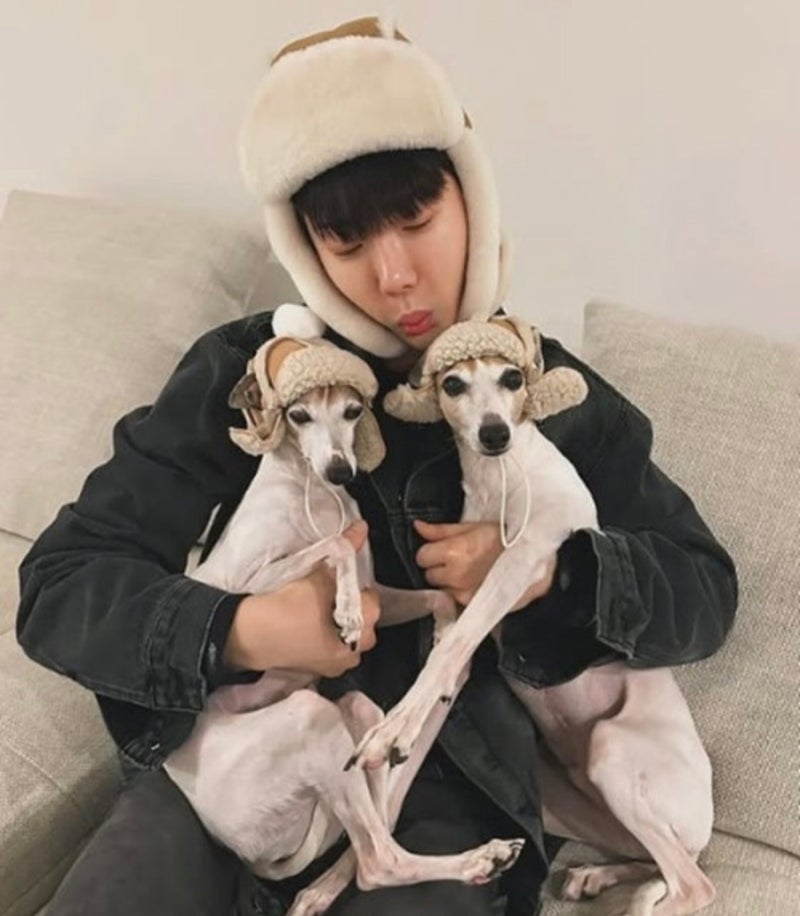 조권에게 무슨 일이? 반려견 “기도해주세요” 애타게 전한 근황
