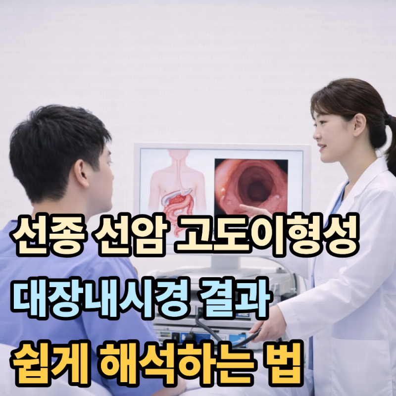 선종 선암 고도이형성, 대장내시경 결과 쉽게 해석하는 법