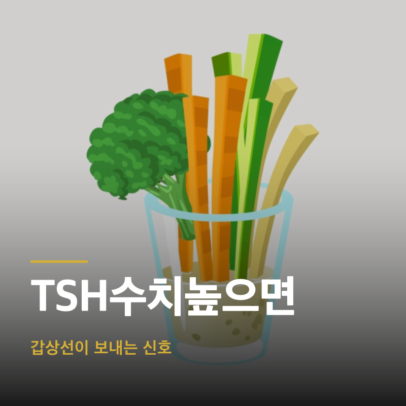 TSH수치높으면, 갑상선이 보내는 신호