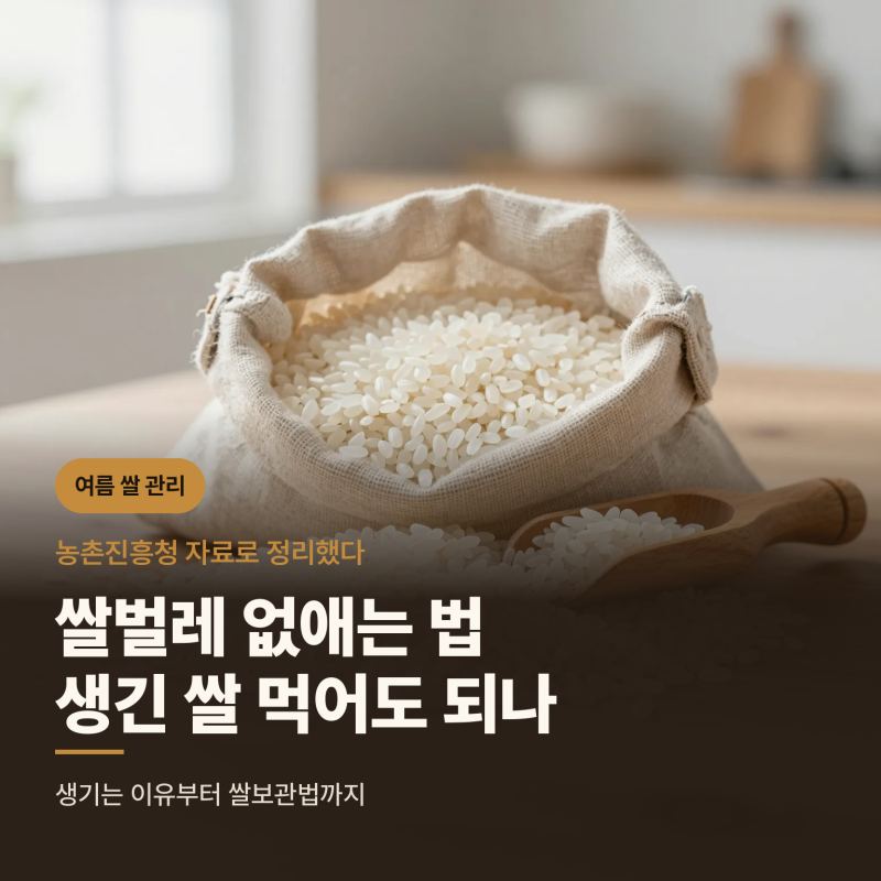 쌀 벌레 없애는 법, 쌀벌레 생긴 쌀 먹어도 되나 (생기는 이유·쌀보관법)