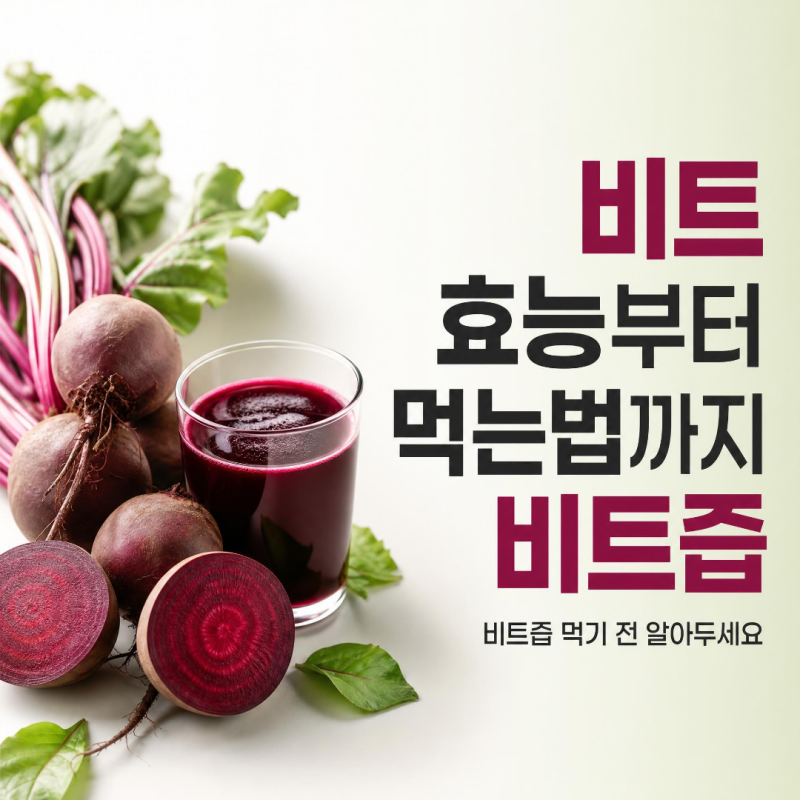 비트 효능부터 먹는법까지｜비트즙 먹기 전 알아두면 좋은 정보