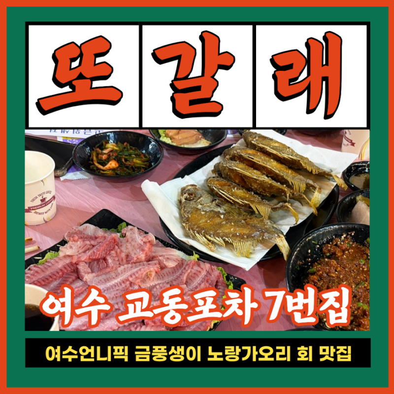 여수언니 유튜브에 나온 교동시장 포장마차촌 7번포차