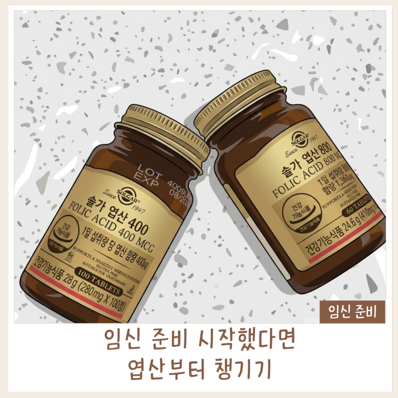 임신준비 필수 영양제 솔가 엽산 800｜엽산 효능·권장량·복용법