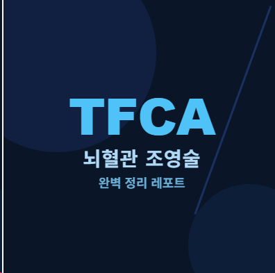 TFCA 뇌혈관 조영술 레포트 A+ 받은 사람이 알려주는 검사전후 간호·부작용·사진 총정리