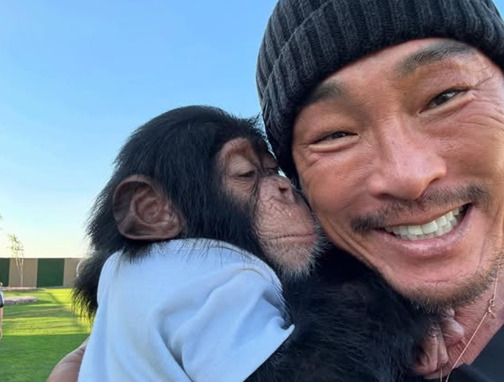 은퇴 경기 앞두고 방송 잠정 중단 추성훈 프로필 학력 고향 재산 나이 가족 배우자 작품활동 ....