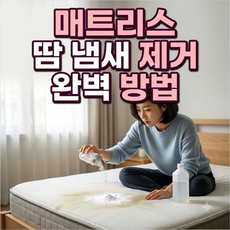 여름철 매트리스 땀 얼룩 냄새와 진드기 제거법 베이킹소다 뿌리면 악취가 말끔히 잡힐까요
