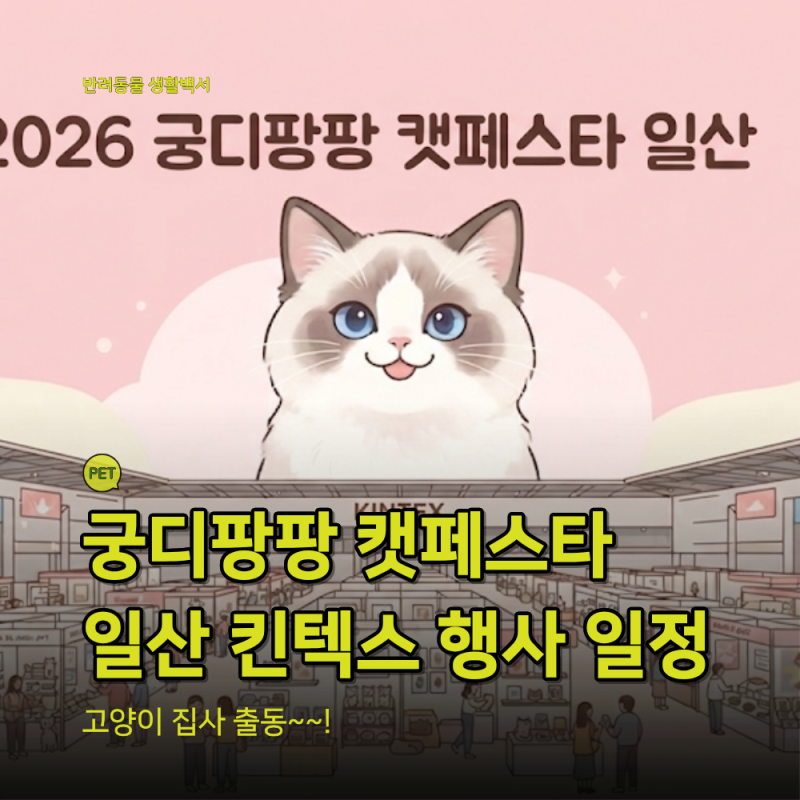 2026 궁디팡팡 캣페스타 ILSAN｜일산 고양이 박람회 일정·입장료·주차 총정리