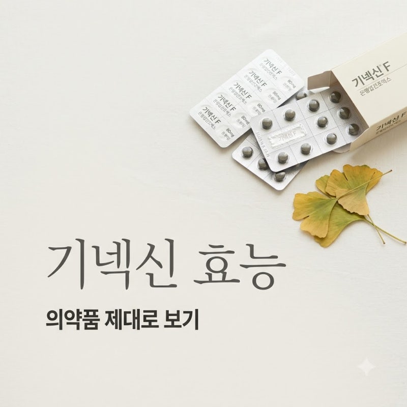기넥신효능 영양제인 줄 알았는데 달랐네요