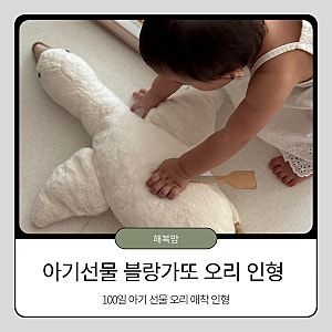 100일 아기 선물 추천, 귀여운 블랑가또 오리 애착인형 솔직 후기
