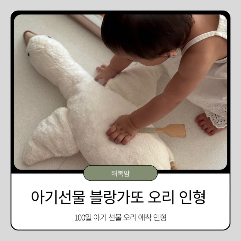 100일 아기 선물 추천, 귀여운 블랑가또 오리 애착인형 솔직 후기