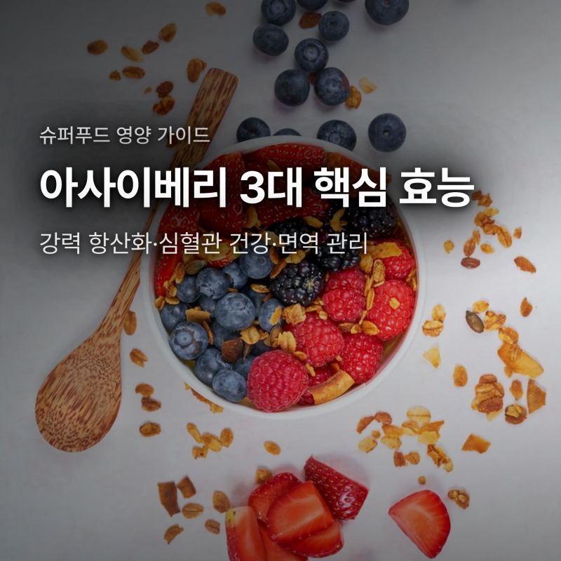 아사이베리 효능 3가지, 혈관 건강과 면역력 높이는 섭취 기준