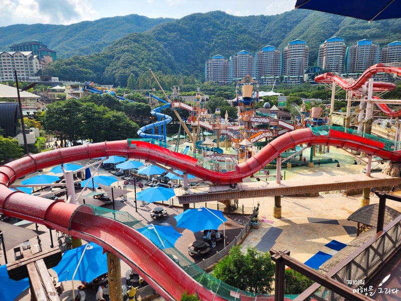홍천 오션월드 입장권 할인 개장 비발디파크 먹거리