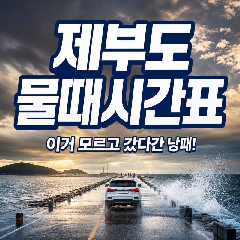 "이거 모르고 갔다가는 낭패"...수원 근교 제부도 물때시간표 8~9월, 안 보면 후회할 꿀팁