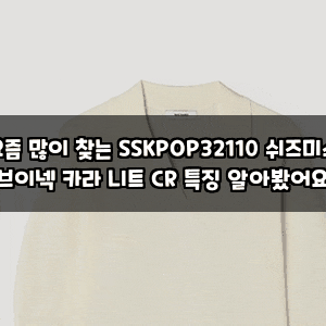 요즘 많이 찾는 SSKPOP32110 쉬즈미스 브이넥 카라 니트 CR 특징 알아봤어요