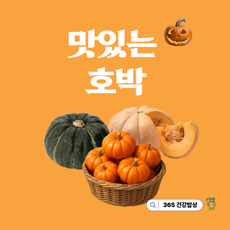 호박 종류 ㅣ 영양성분 체크·손질법 & 보관 꿀팁