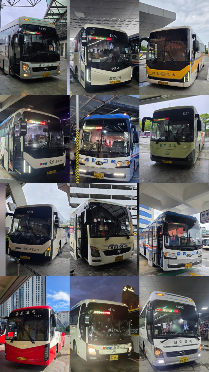 고속버스 프리패스 Season10