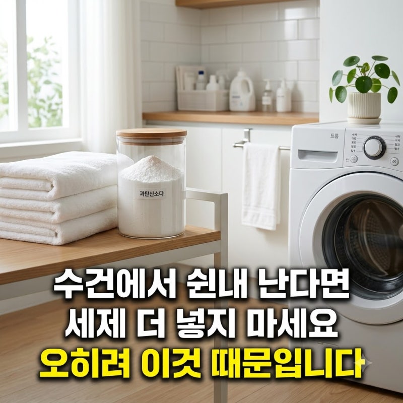 과탄산소다 활용법 7가지 | 흰옷 누런때 세탁조 청소 완벽 가이드
