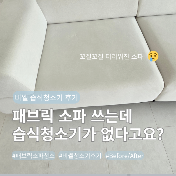 패브릭 소파 필수템! 비쎌 스팀 습식청소기 솔직 후기