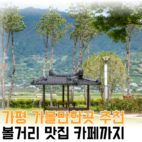 가평 가볼 만한 곳 추천, 가평 볼거리, 점심 맛집, 애견 동반 카페까지 총정리